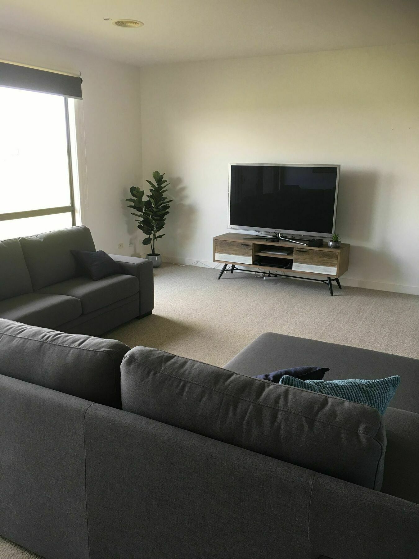 13 Shore Place Торкі Екстер'єр фото